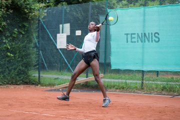 Noma Noha Akugue 239 - Klippeldon